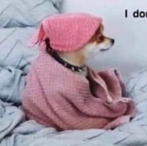 a_bipolarmind's profile picture. 