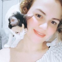 Gatinhos da Di (mamãe da estrela Davi)(@ajudando_anjos) 's Twitter Profile Photo