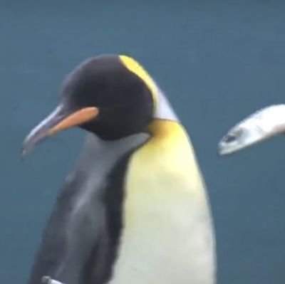 davidnuon's profile picture. Find me at https://t.co/LcOHeJ87zB