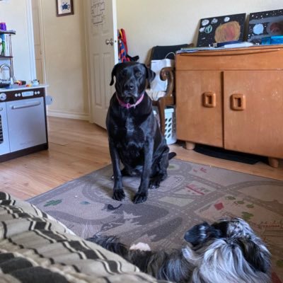 DroppedCoffee's profile picture. Dad, nerd, troll.