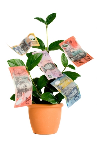 HalogenPtyLtd's profile picture. 