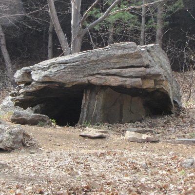 moondoggie's profile picture. Christian nationalist