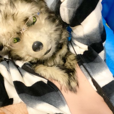 ku31ku's profile picture. This is AD account, I’m a L(G)BTQ+. Don’t follow me if you aren’t adult or hate them. ja/en/fr available now and learning other languages.