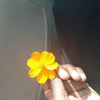 ♤يُسْرَا يُونس♤ (@yousrayounis) Twitter profile photo