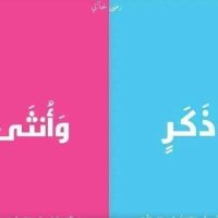 عبدالله المصرى (@altawil_abdo) 's Twitter Profile Photo