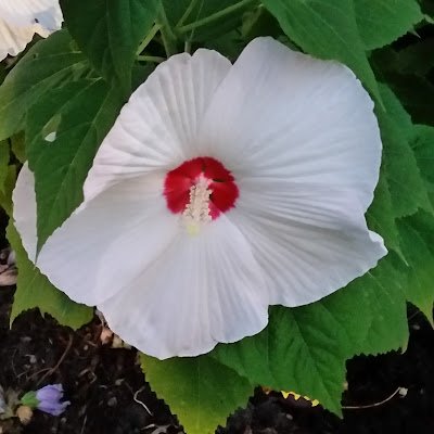 lenzray7's profile picture. 