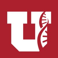 U of U Physical Therapy Program(@UofUPT) 's Twitter Profile Photo