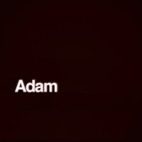 The Adam Friedland Show Guest Generator(@TAFSbot) 's Twitter Profile Photo