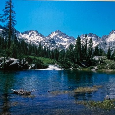 x_supportthe1's profile picture. 