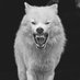 arctic_wolfs