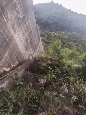 cengwu7's profile picture. 