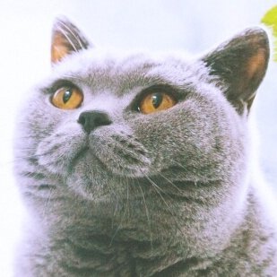 z3oBFLVFnc3XL4y's profile picture. 学生時代から哲学などに関心を持ち、勉強しています。/ネットで学んだ哲学的なことを発信する趣味垢です/趣味：ウオーキング/漫画とかドラマ好きです/無言フォロー失礼します。