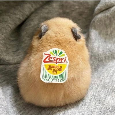 kintaro828a's profile picture. 福岡生まれ福岡市育ち