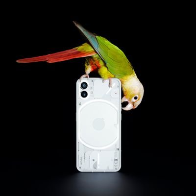 I'm here to make tech fun again! 🦜

I am the Nothing Phone (1). Designed by @nothing 📞