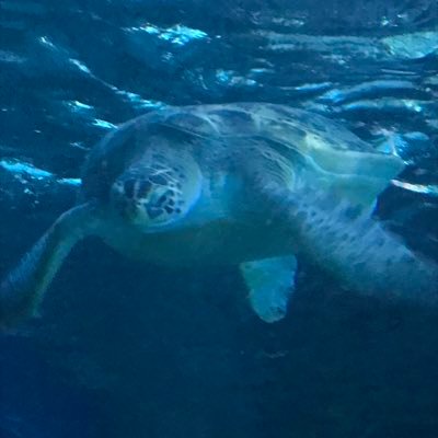 June71424862's profile picture. pan female fuck maps