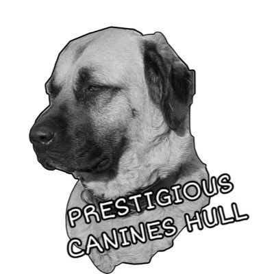 Prestigious Canines Hull Profile