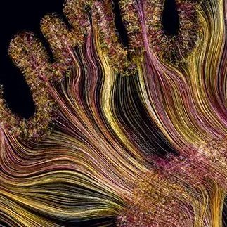 glialcharity's profile picture. Delivering curated neurosurgery content to raise funds for charity!

Issue #30 https://t.co/TLos7xv6qV