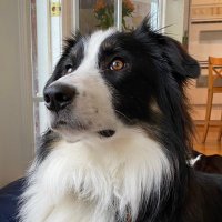 @unpixie@ioc.exchange (@unpixie) 's Twitter Profile