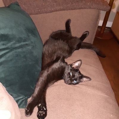 BesterAlice's profile picture. 