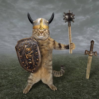 813battlecat's profile picture.