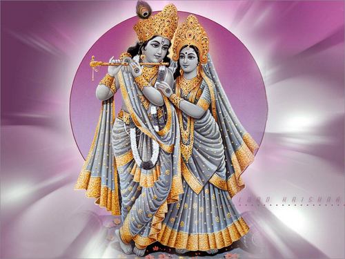rahul498's profile picture. 