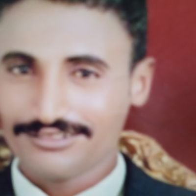 AliHash49400336's profile picture. 