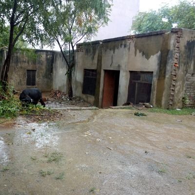 Finalday2come's profile picture. Pay Respect n get Respect