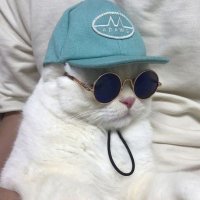 Szoboszlai Ole Kisinji😎 (@githinji_25) 's Twitter Profile Photo Szoboszlai Ole Kisinji😎 (@githinji_25) 's Twitter Profile Photo