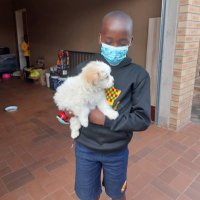 DHOBA Lovemore👟🇿🇼 (@lovedhoba) 's Twitter Profile