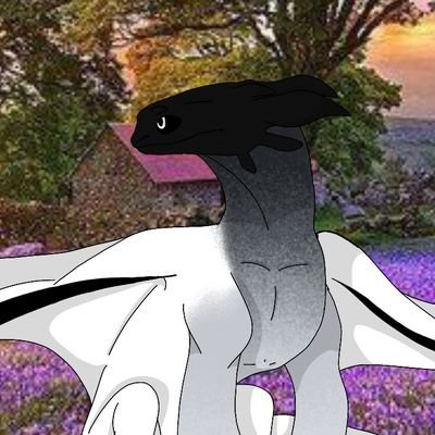 willowdragon7's profile picture. Здравствуйте) Я снимаю кпд в своем тик ток/лайк, канале.;) Надеюсь мы подружимся ^^