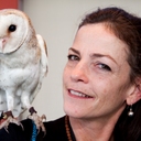 Patsy Bingham - @patsybingham - Twitter