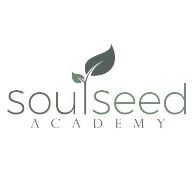 Soul Seed Academy is a business accelerator and incubator. We specialize in helping passionate women build and scale sustainable, family-friendly businesses.