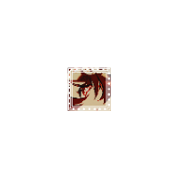  𝖍𝐮 𝖙𝐚𝐨 。 (@77thguide) 's Twitter Profile