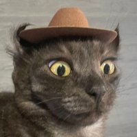 Memevins π (@meevin_memes) 's Twitter Profile
