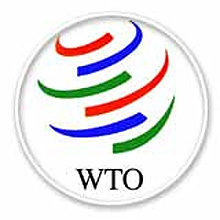 Plaid_WTO Profile Picture