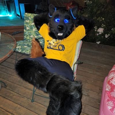 Enjoy meeting new people, just a friendly wolf mechanic, loves cars, trucks, and squeaks, drop a DM for telegram to chat.