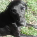 Lily Bright - @Lily_Bright - Twitter