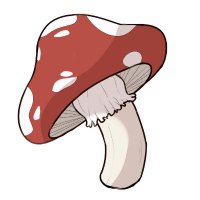 🍄 UK Foraging Network - Join The Community 🍄(@ForagingNetwork) 's Twitter Profile Photo