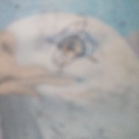 mdptrp9049901797 (@prtpdm) 's Twitter Profile Photo