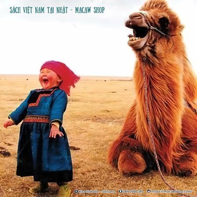 DangCrypto68's profile picture. Technology