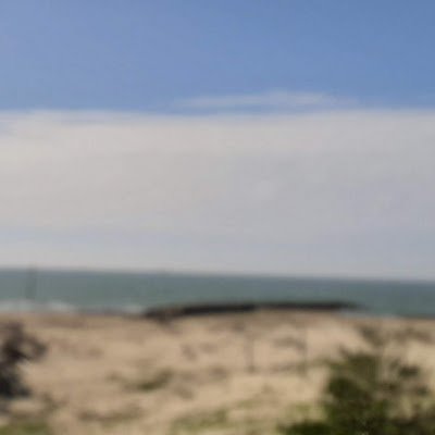 Like0981's profile picture. 