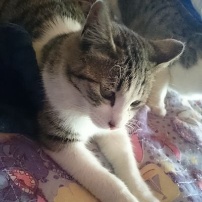 legendary_yuki's profile picture. Tagbangers, Inc.