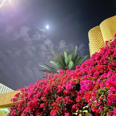 s_to96's profile picture. اكتب كل مايحلو لذائقتي الشعريه🤍