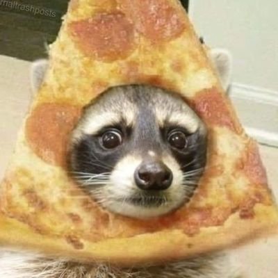 der_Nutcracker's profile picture. Igual que José Alfredo, llegué de un mundo raro, no sé del dolor, triunfé en el amor, y nunca he llorado.