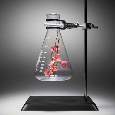 Hani87922153's profile picture. يأت بها الله إن الله لطيف خبير