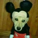 Owen Holder - @OwenHol38755724 - Twitter