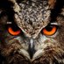 Owl Eyes 4 Missing (@OwlEyes4Missing) Twitter profile photo