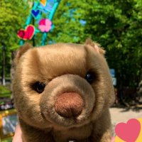 ❤ (@wombat252525) Twitter profile photo
