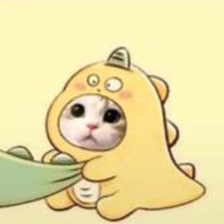 공유할 사진 🌻