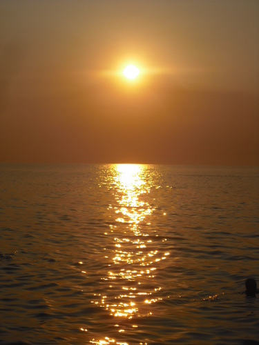 danielechindamo's profile picture. 